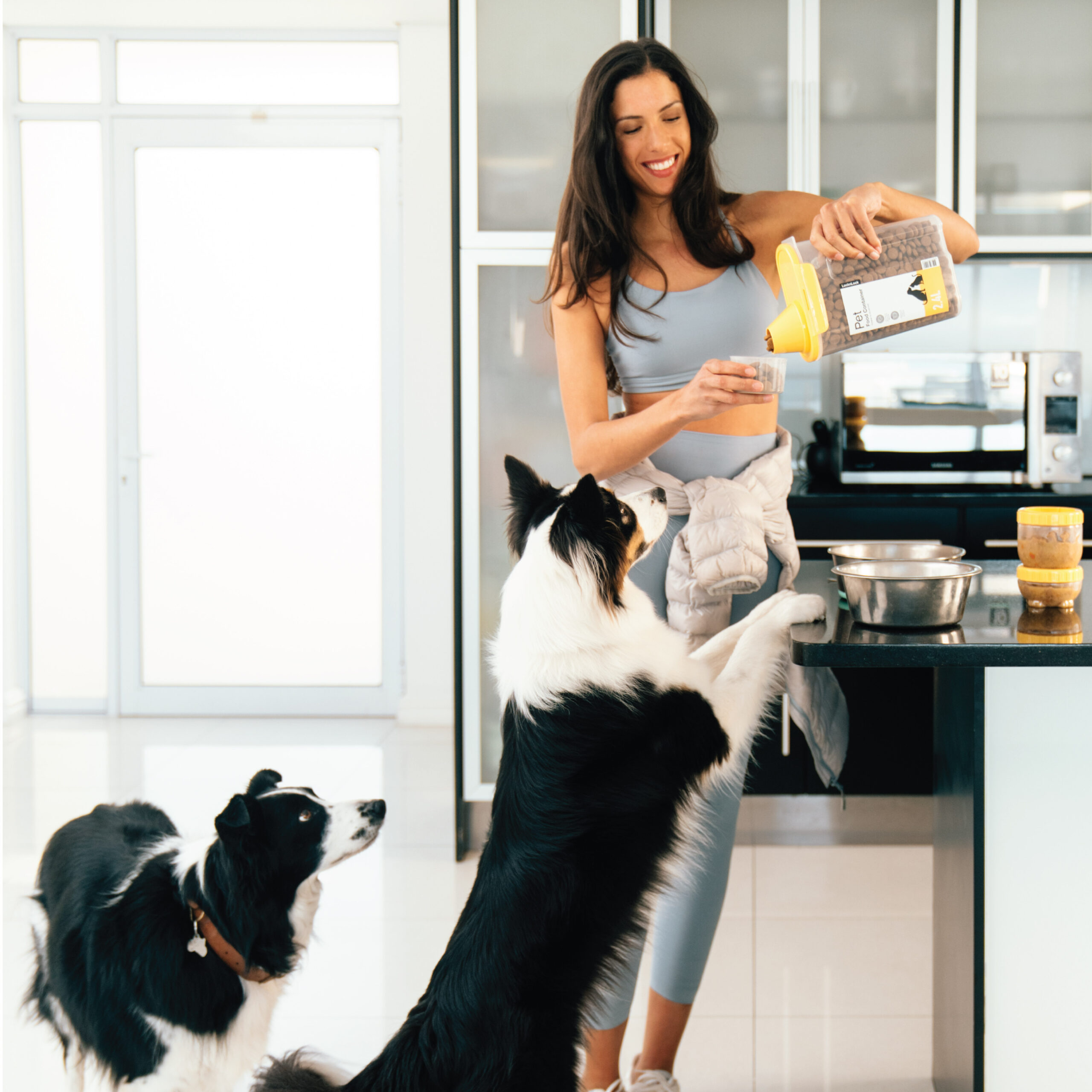 HPL520PET INL301PET INL305PET 8803733311946 8803733311977 8803733312486 LocknLock Pet Wet Dry Food Container Group Lifestyle Image scaled